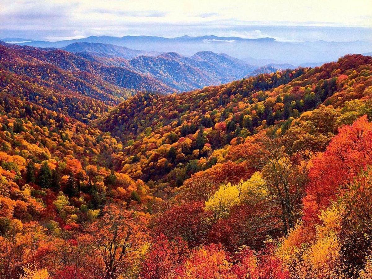 Sky High Views!!-Peak Mountaintop-Outdoor Pool-Close To Downtown-Private Balcony-Wifi-Cable Gatlinburg Luaran gambar